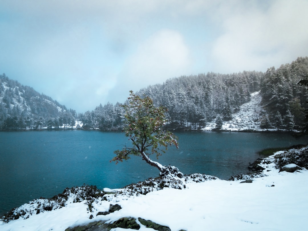 Esplora il Lac de Nino: un gioiello naturale in Corsica — Lozzi