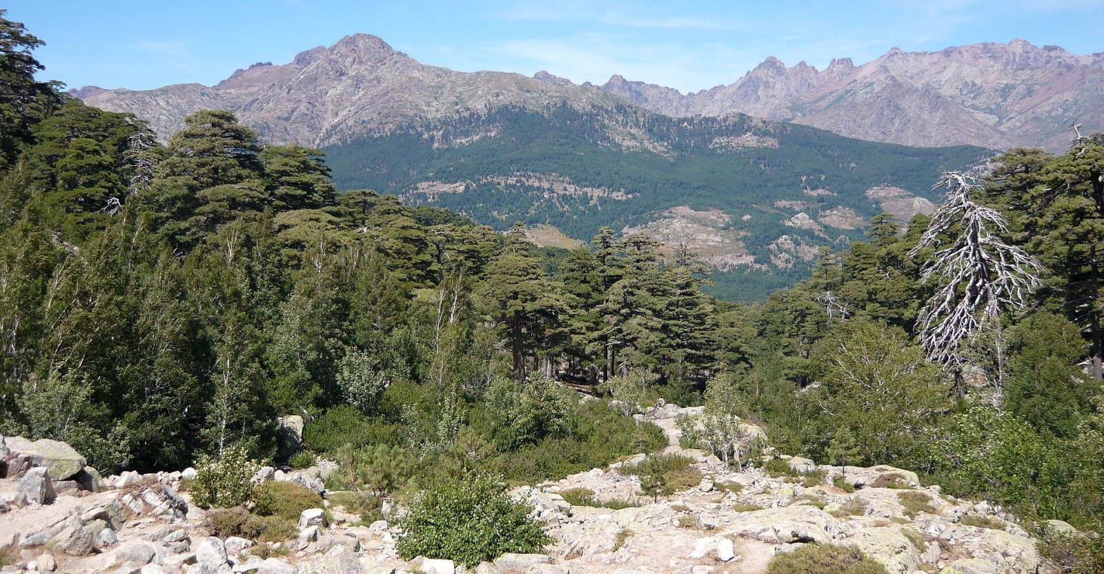 Entdecken Sie den Lac de Nino: ein Naturjuwel in Korsika - Lozzi | Secret World Trip Planner