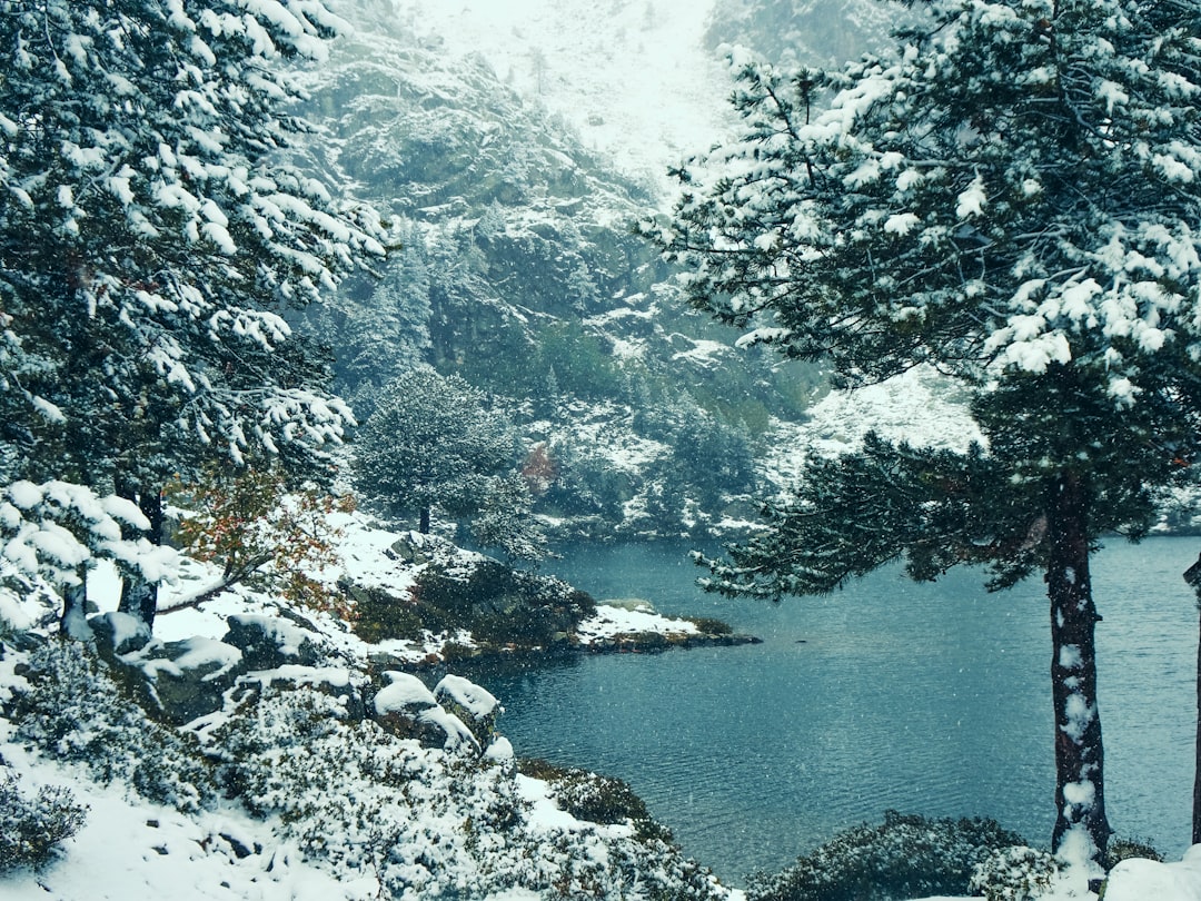 Entdecken Sie den Lac de Nino: ein Naturjuwel in Korsika - Lozzi | Secret World Trip Planner