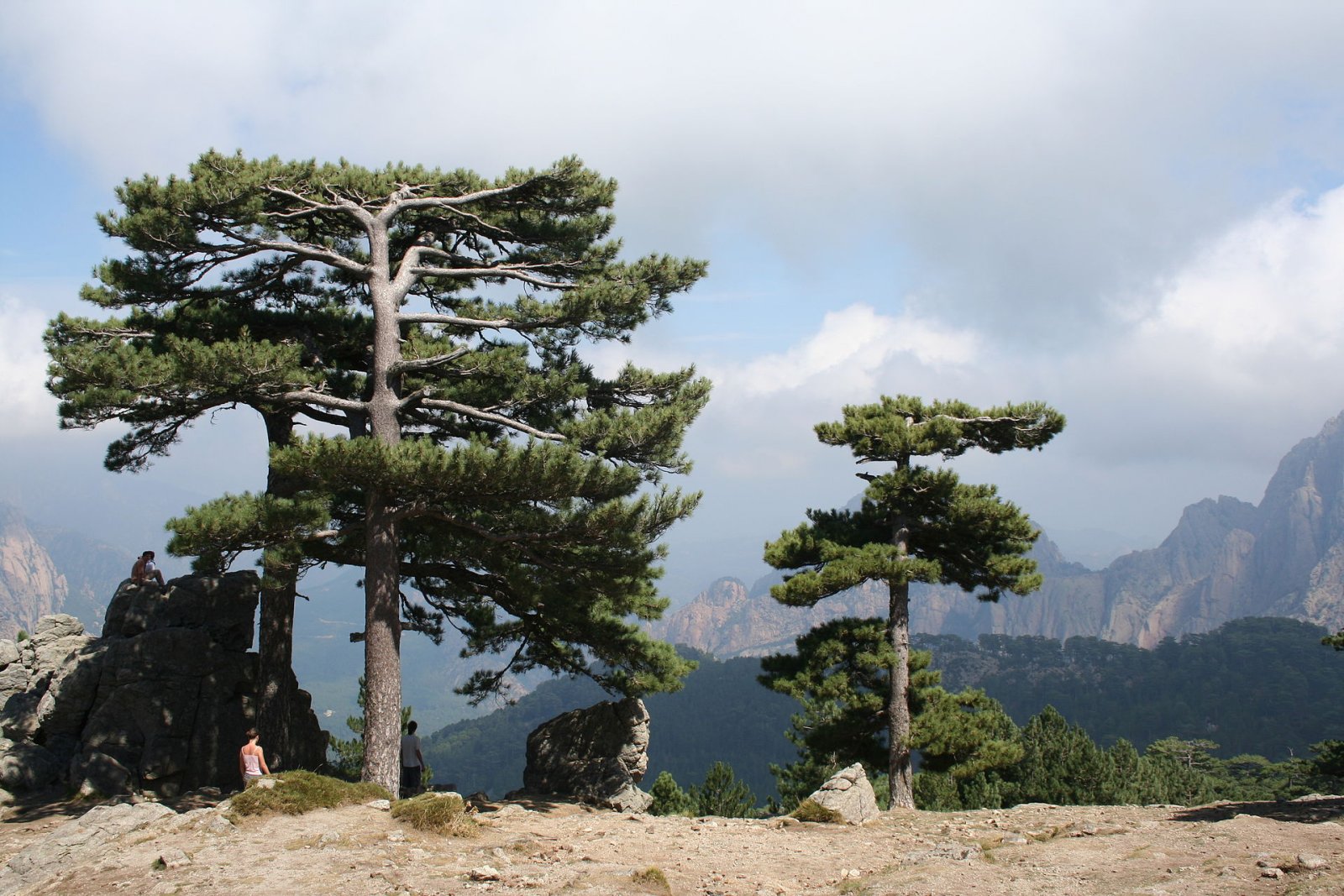 Scopri il Col de Bavella: un angolo di paradiso in Corsica - Zonza | Secret World Trip Planner