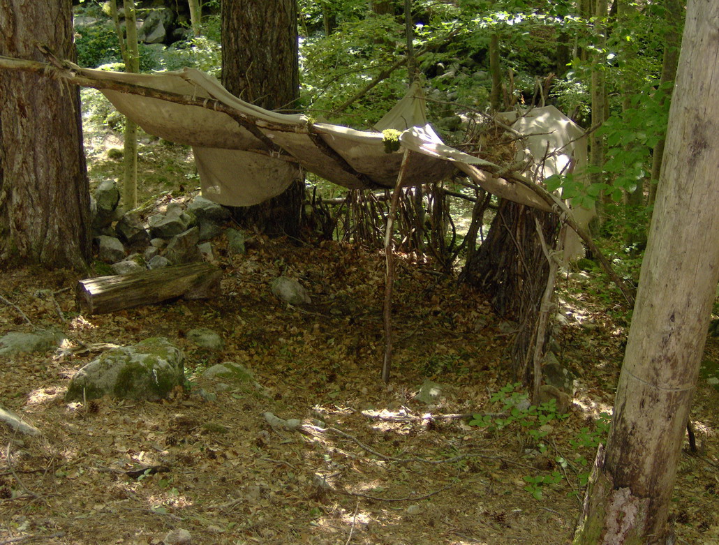 Discover the Magic of Forêt de Vizzavona in Corsica - Vivario | Secret World Trip Planner