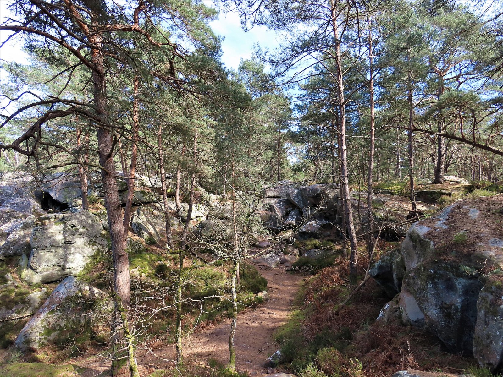 Discover the Gorges de Franchard: a Natural Gem in Fontainebleau — Fontainebleau