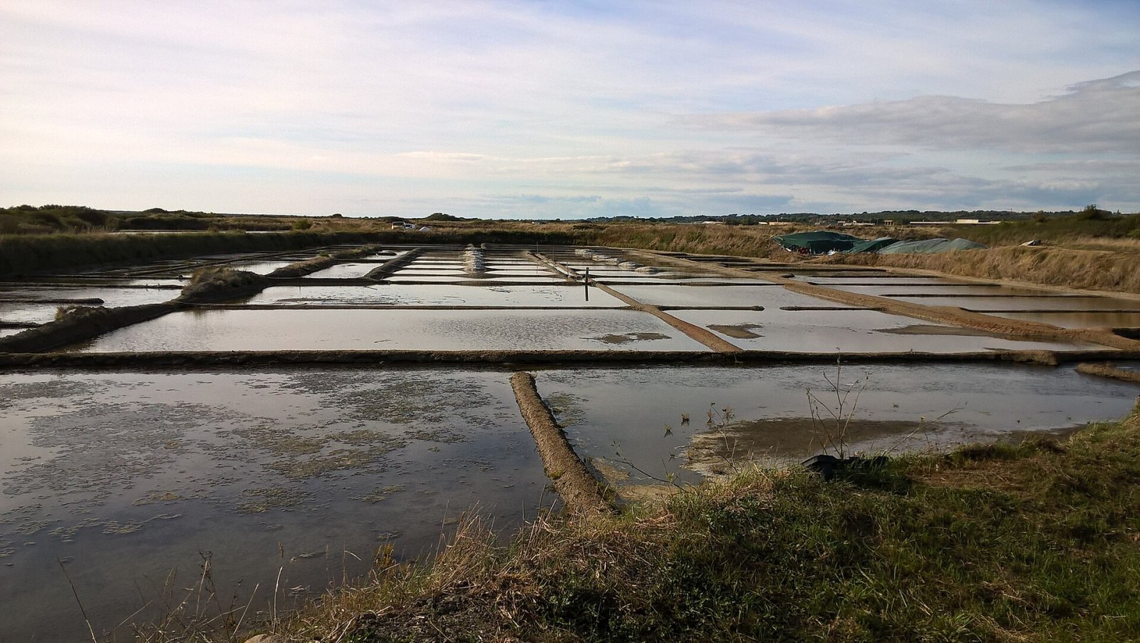 Scopri il fascino dei Marais Salants de Guérande — Méry-ès-Bois