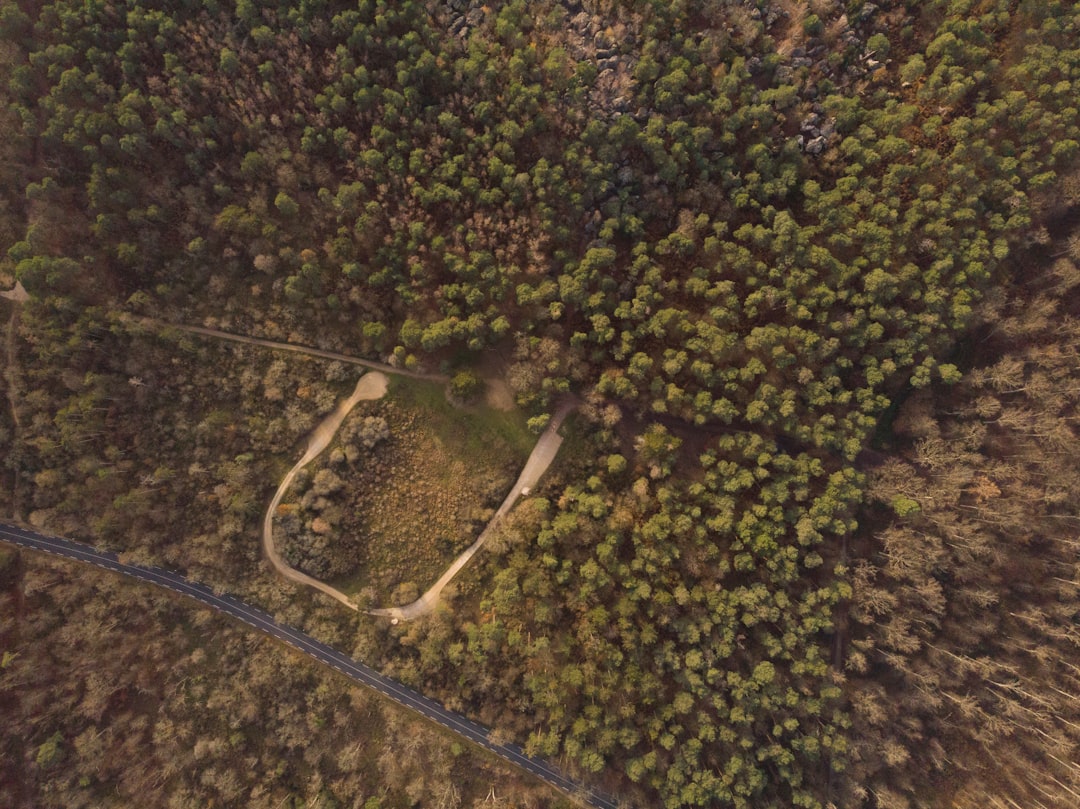 Discover the Forêt de Fontainebleau: a Natural Gem in France — Fontainebleau