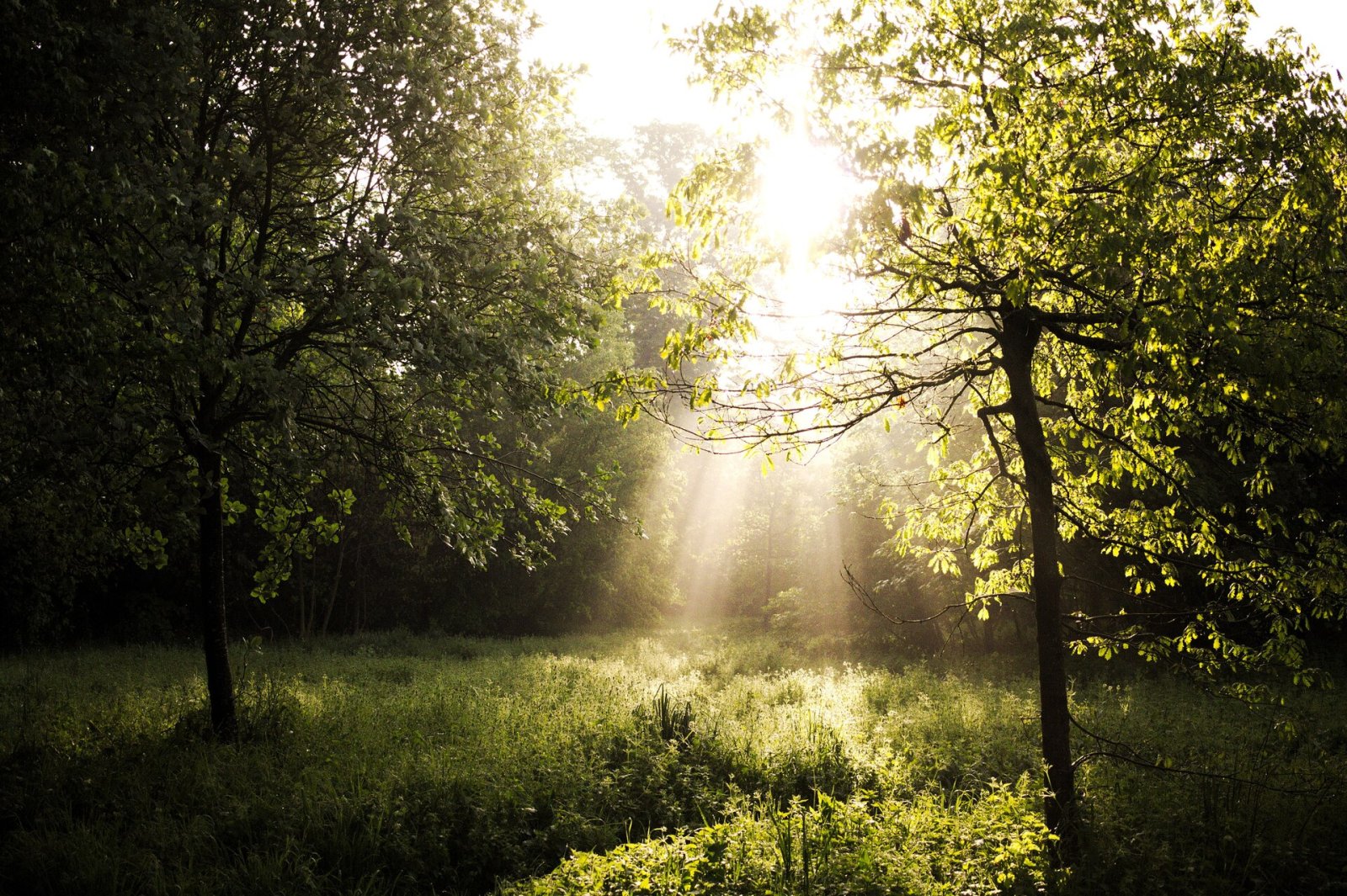 Discover the Bois de Vincennes: Nature in Paris - Paris | Secret World Trip Planner