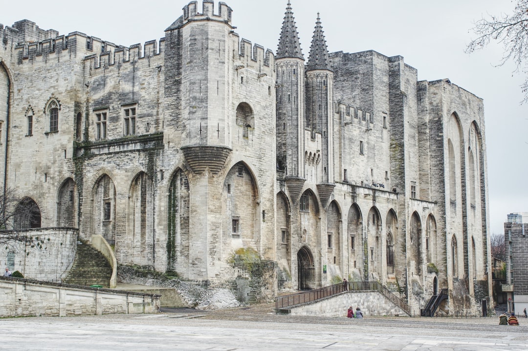Scopri il Palais des Papes ad Avignone, un tesoro storico - Avignon | Secret World Trip Planner
