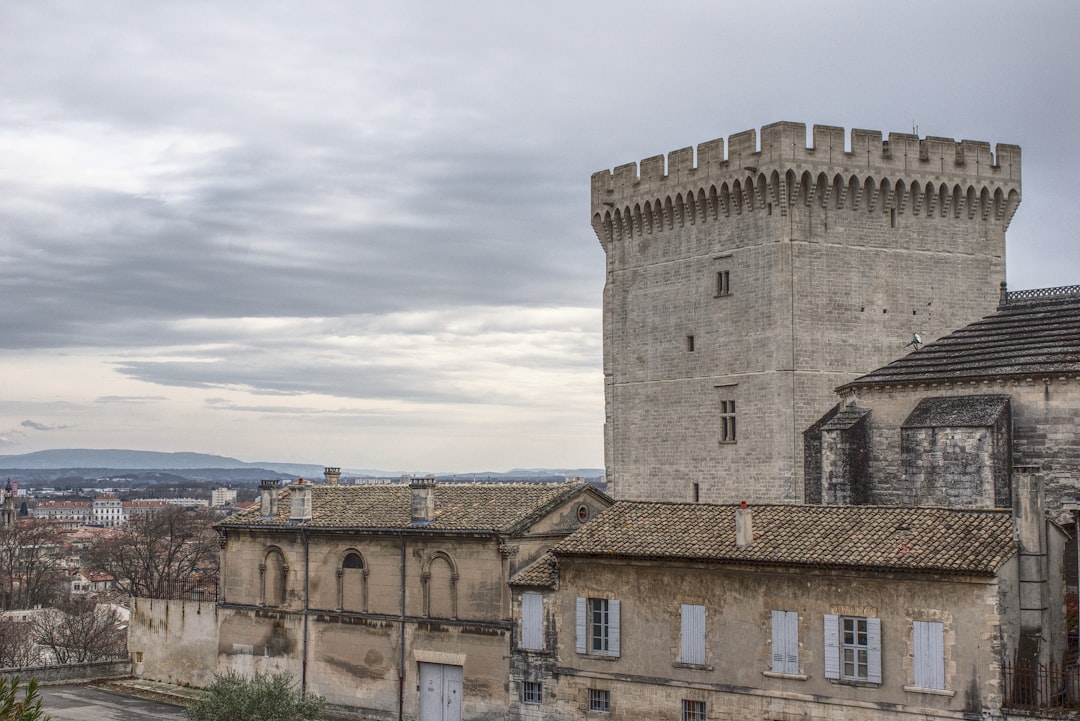 Entdecken Sie den Palais des Papes in Avignon, ein historisches Juwel - Avignon | Secret World Trip Planner