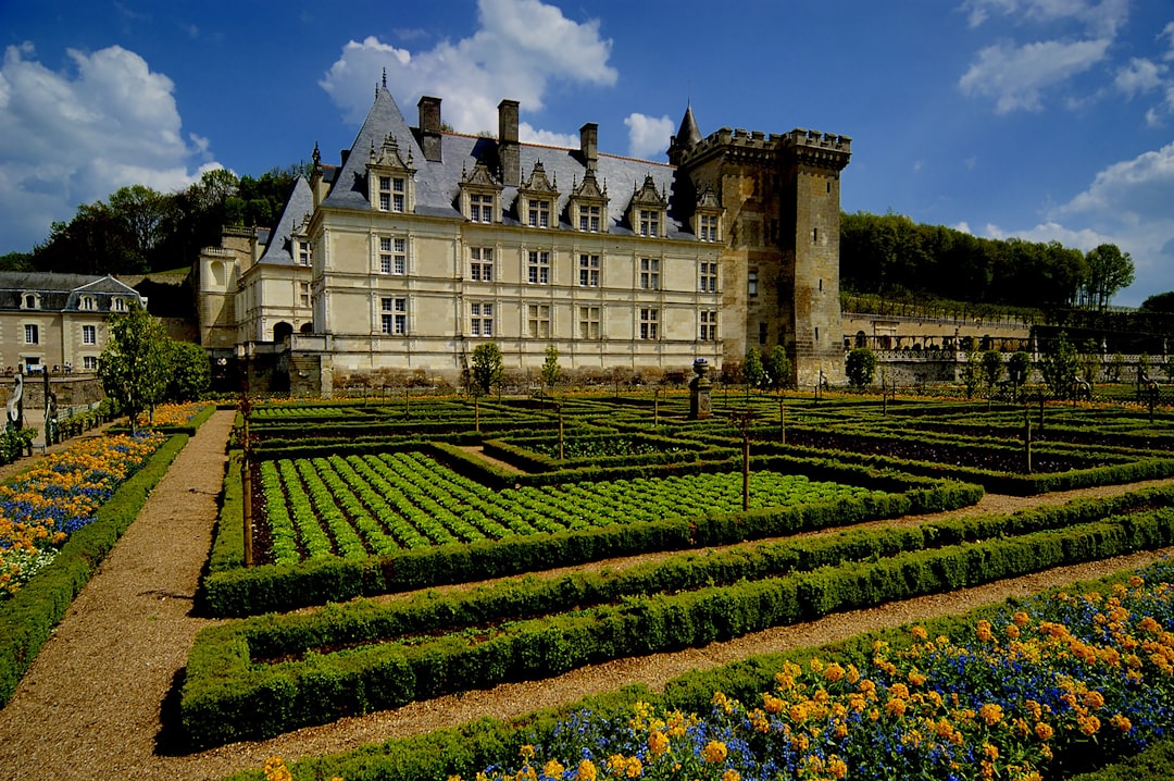 Scopri il Château de Villandry: storia e giardini incantevoli — Villandry