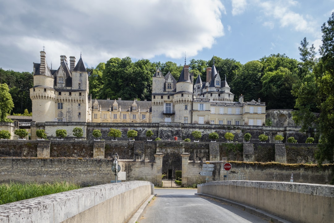 Scopri il fascino del Château d'Ussé: storia e bellezza — Rigny-Ussé