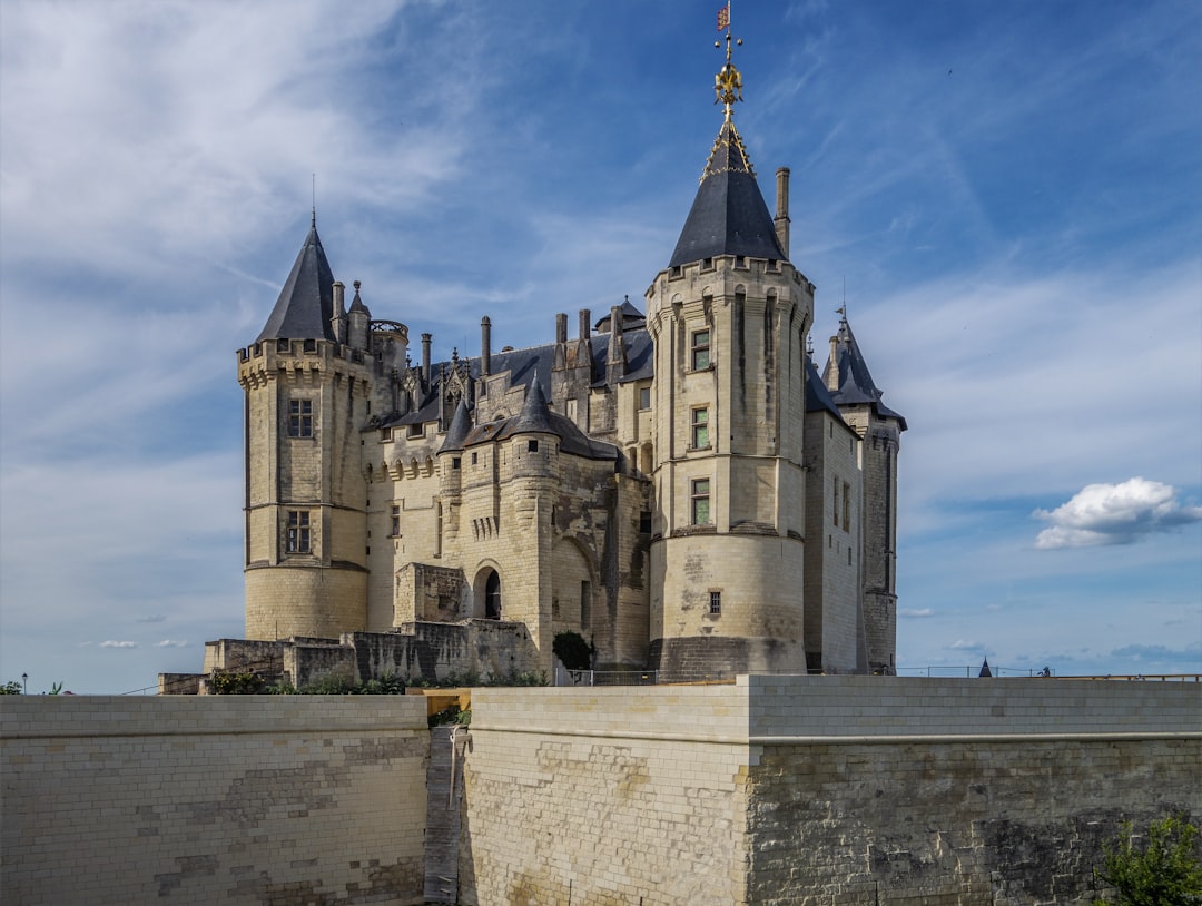 Entdecken Sie den Charme des Château de Saumur in Frankreich — Chouzé-sur-Loire