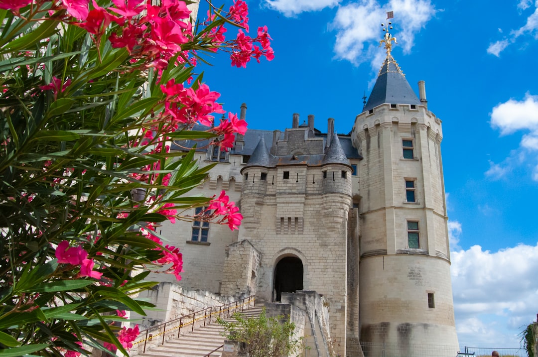 Entdecken Sie den Charme des Château de Saumur in Frankreich - Chouzé-sur-Loire | Secret World Trip Planner