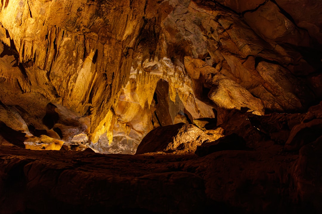 Discover the Lascaux Caves: A Treasure of Prehistory — Montignac-Lascaux
