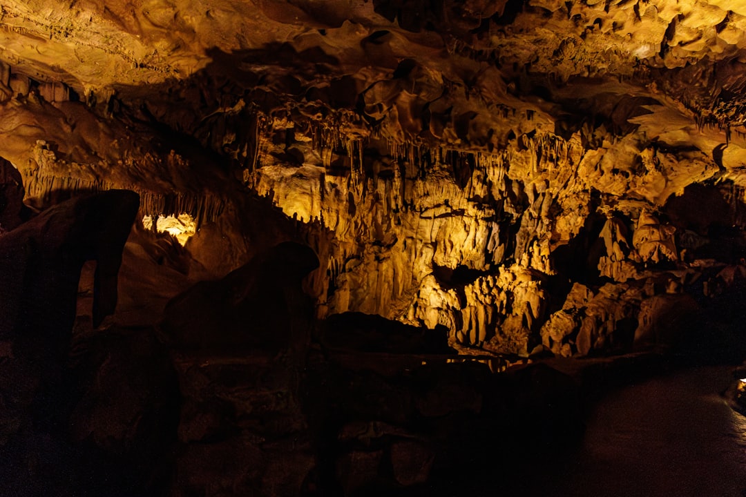 Discover the Lascaux Caves: A Treasure of Prehistory - Montignac-Lascaux | Secret World Trip Planner