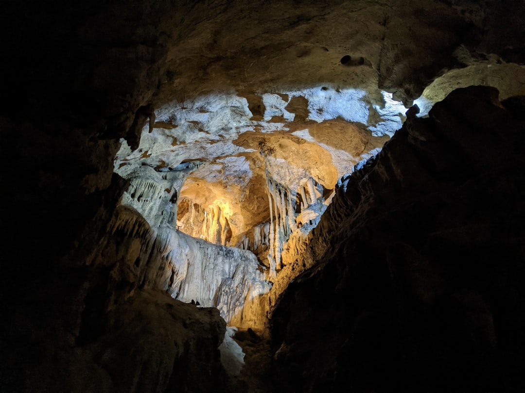 Entdecken Sie die Höhlen von Lascaux: ein Schatz der Vorgeschichte - Montignac-Lascaux | Secret World Trip Planner