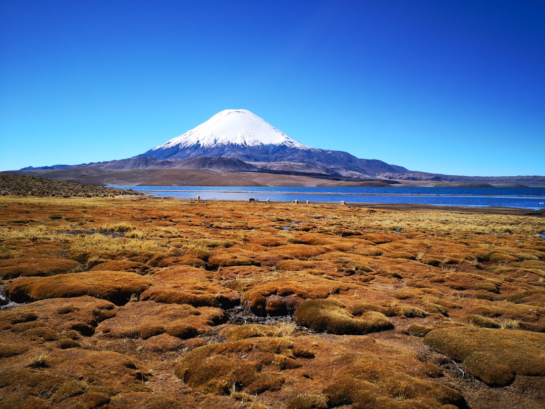 Parinacota: The Hidden Volcano of the Andes - Parinacota | Secret World Trip Planner