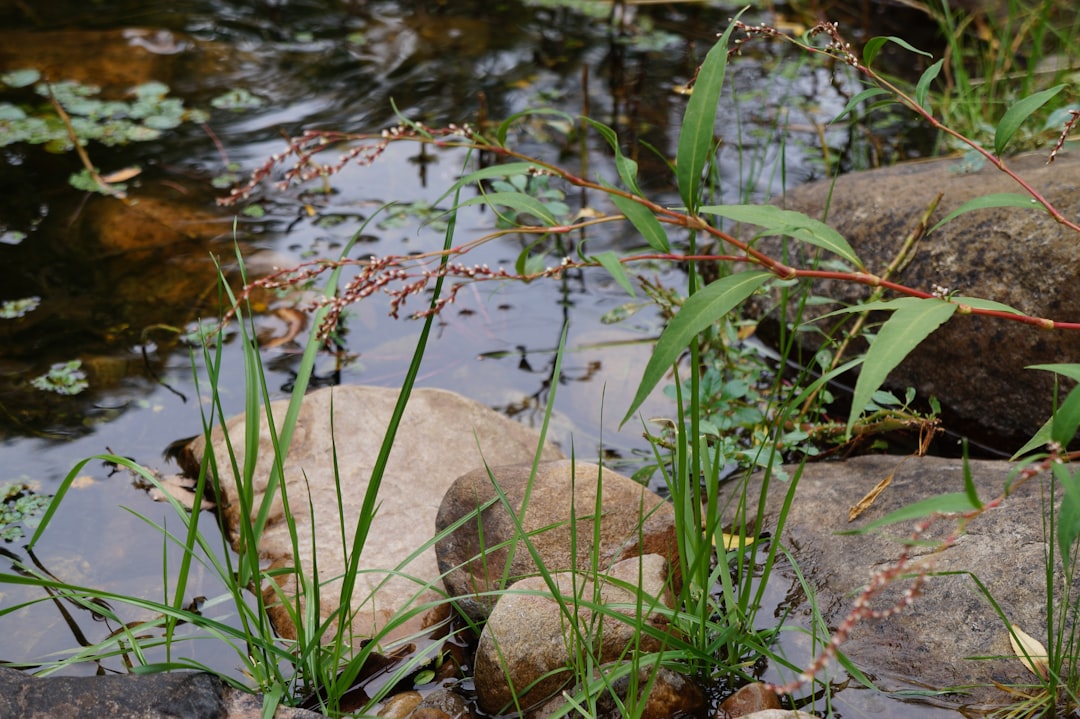 The Hidden Magic of Sierra de La Ventana - Sierra de La Ventana | Secret World Trip Planner