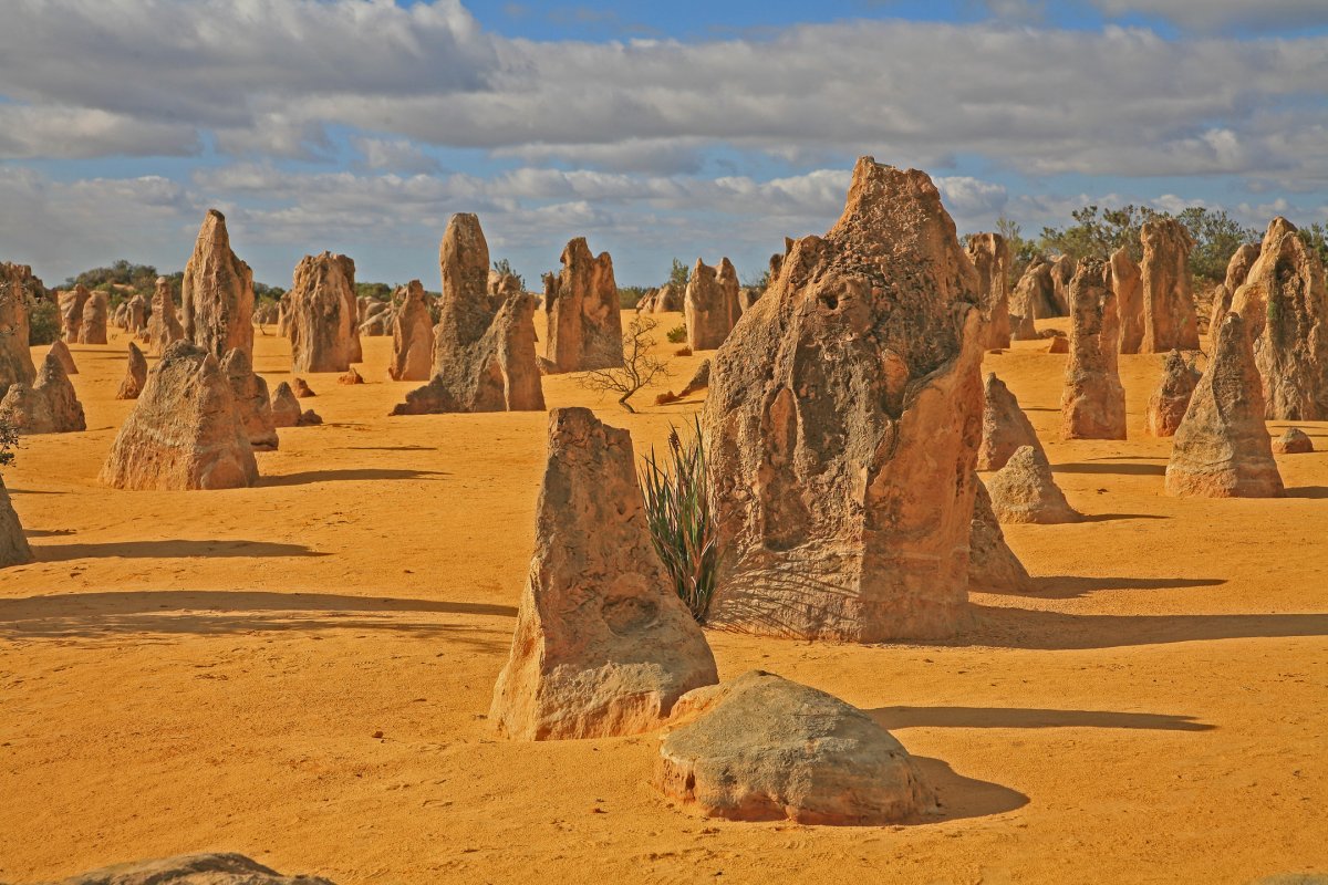 Pinnacles Desert: Ein Unentdecktes Paradies in Australien — Nambung Australia Occidentale 6521