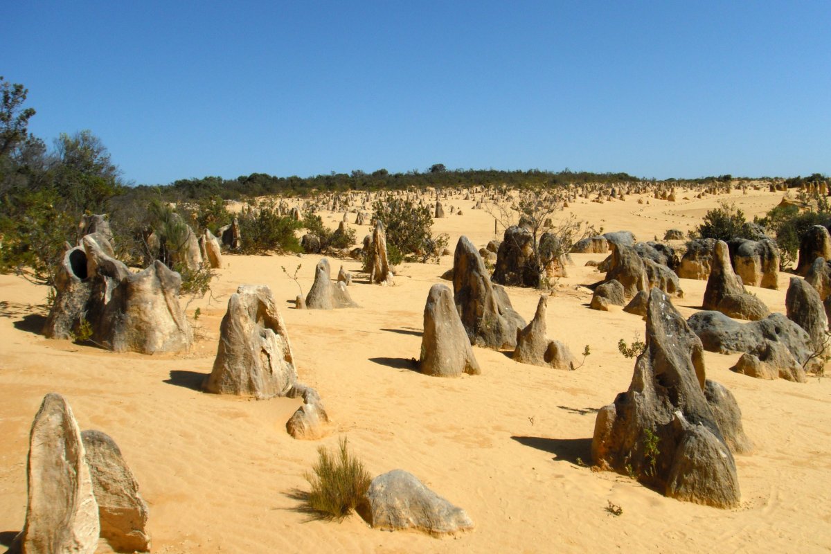 Pinnacles Desert: Ein Unentdecktes Paradies in Australien - Nambung Australia Occidentale 6521 | Secret World Trip Planner