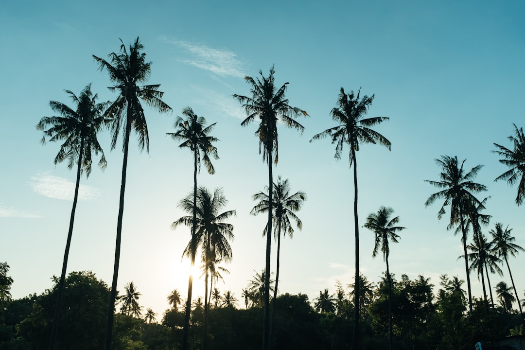 Secret World Review 2026: Best AI Trip Planner in Bali — Bali