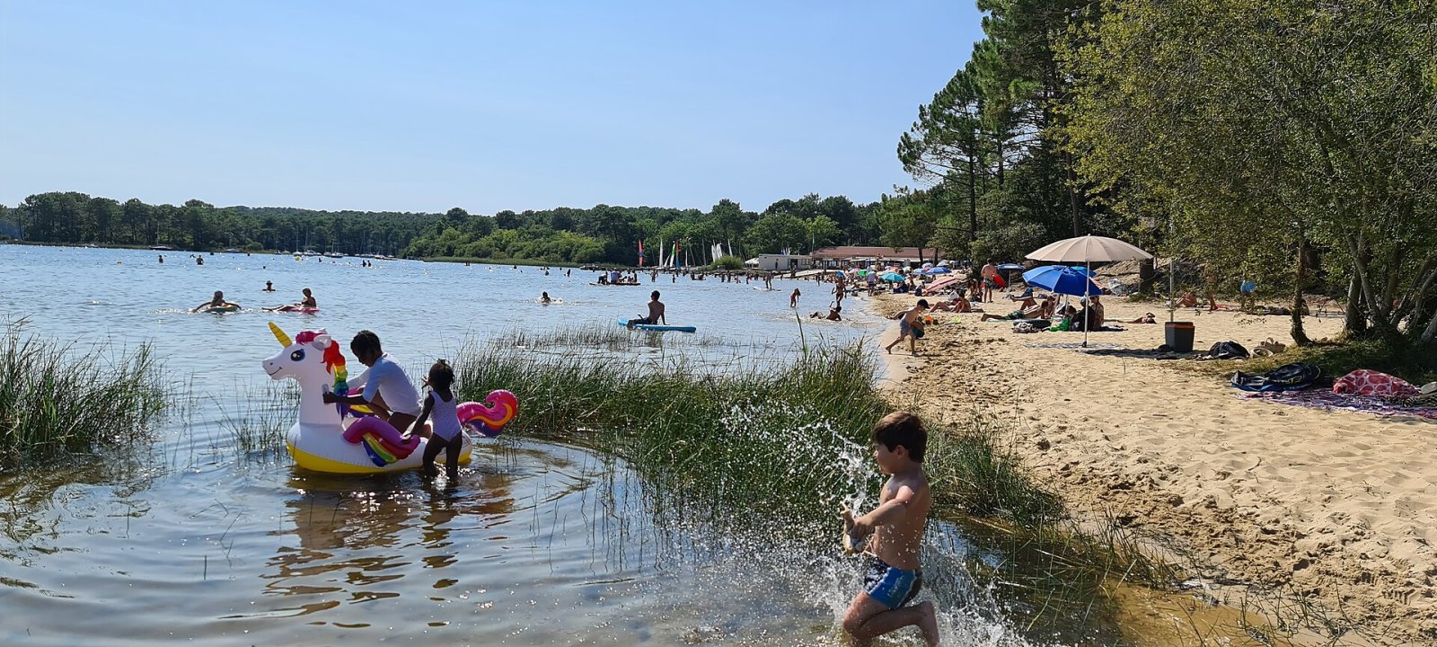 Discover Lac de Hourtin: A Natural Paradise in France — Sainte-Orse