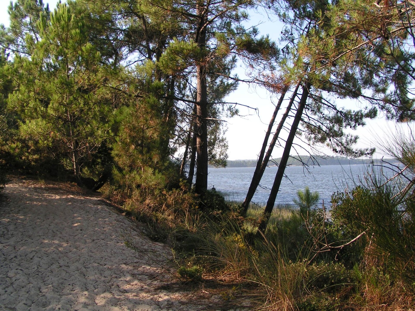 Discover Lac de Lacanau: A Natural Gem in France — Marquay