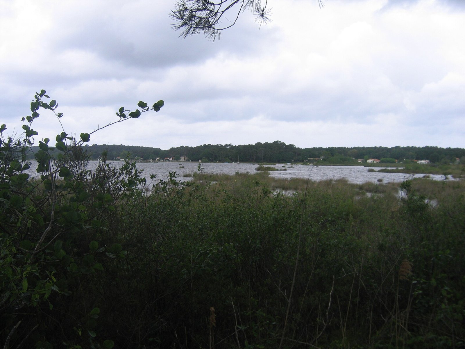 Discover Lac de Lacanau: A Natural Gem in France - Marquay | Secret World Trip Planner
