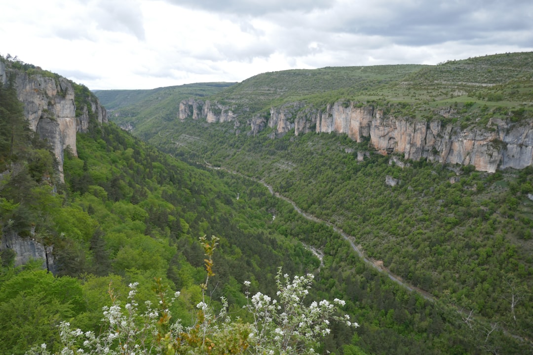 Gorges du Tarn: Un Paradiso Naturale in Occitanie — Millau