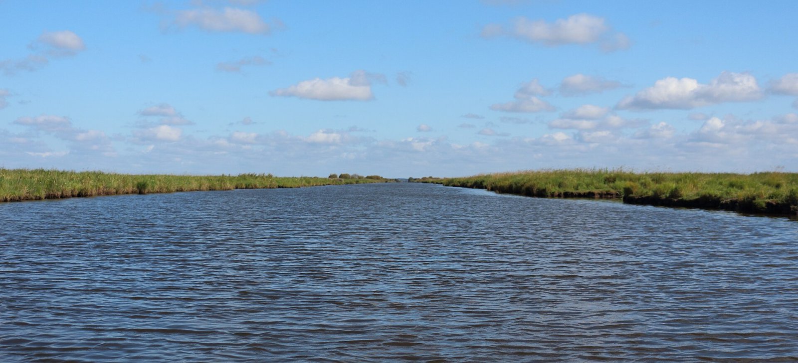 Entdecken Sie das Marais de Brière: Ein Naturparadies in Saint-Nazaire — Nançay