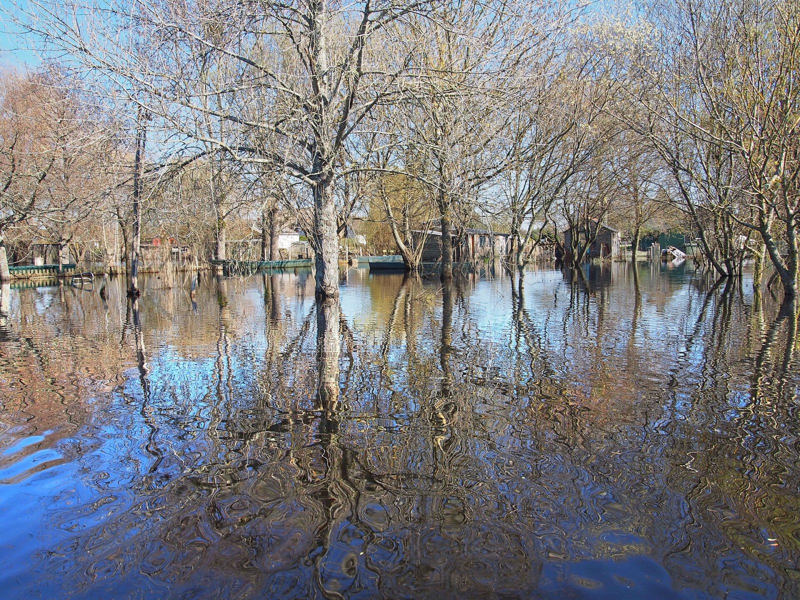 Entdecken Sie das Marais de Brière: Ein Naturparadies in Saint-Nazaire - Nançay | Secret World Trip Planner