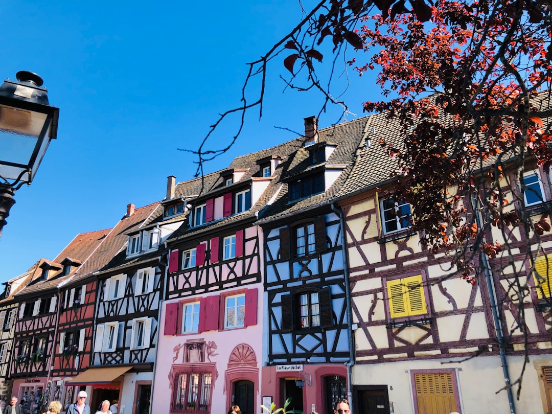 Scopri la Route des Vins d'Alsace a Colmar - Colmar | Secret World Trip Planner