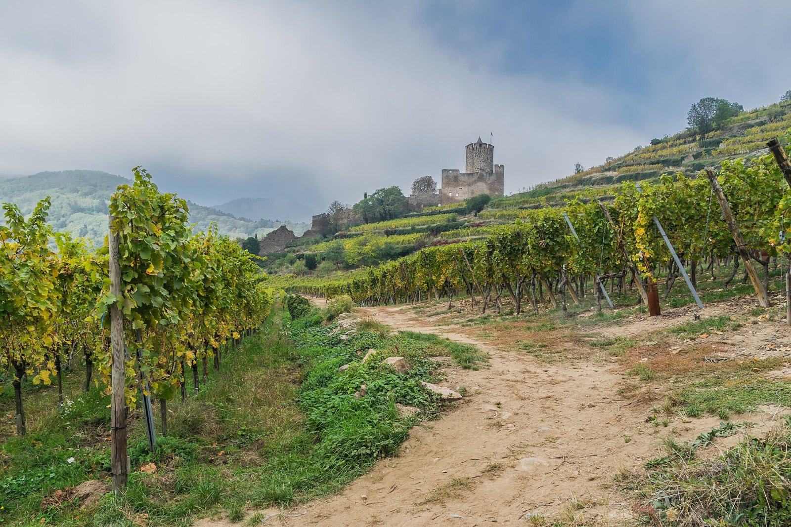 Discover the Charm of Château de Kaysersberg in Alsace - Kaysersberg Vignoble | Secret World Trip Planner