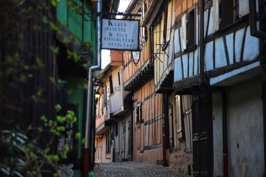 Riquewihr: Un gioiello medievale nell'Alsazia — Riquewihr