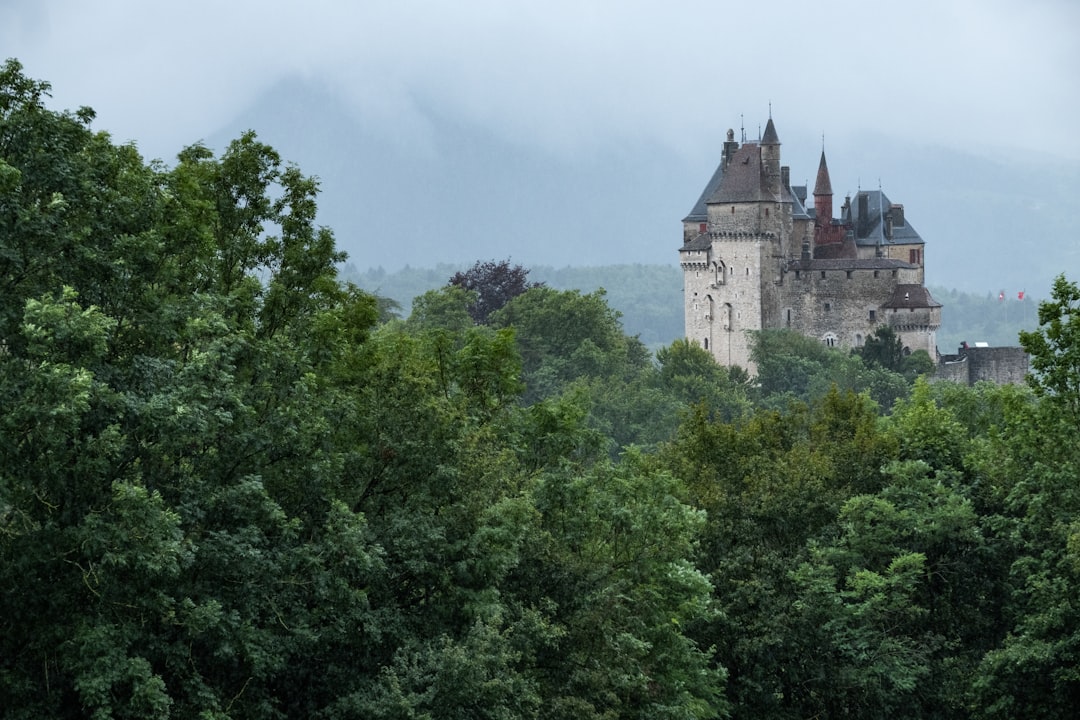 Discover the Historical Charm of Château de Menthon-Saint-Bernard — Talloires