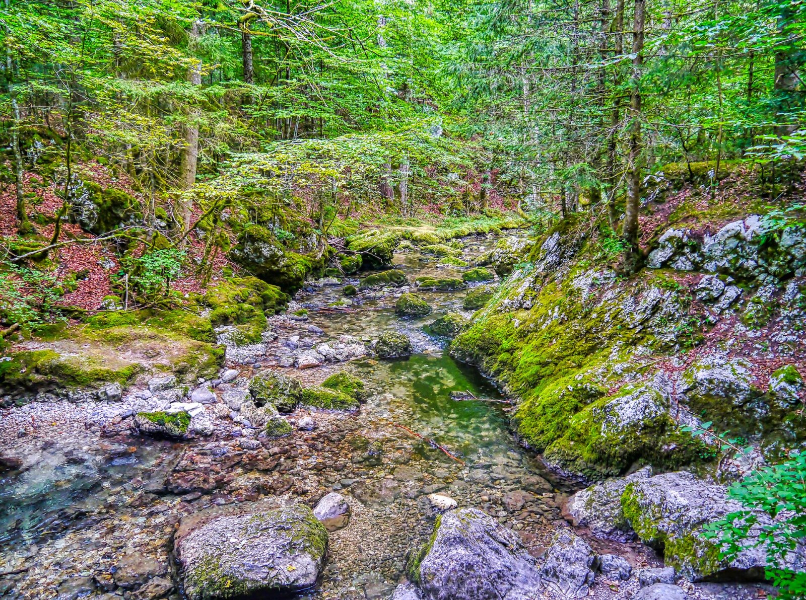 Scopri il Cirque de Saint-Même: un gioiello naturale in Francia - Plateau-des-Petites-Roches | Secret World Trip Planner