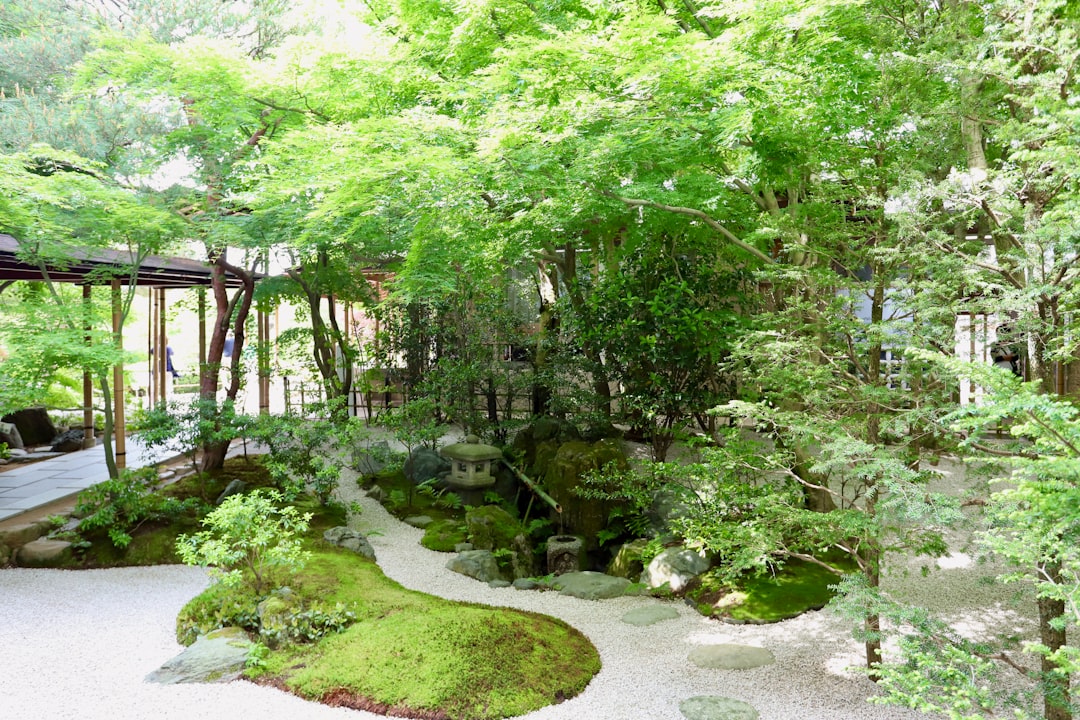 Discovering the Adachi Museum of Art: A Cultural Gem in Japan - Yasugi | Secret World Trip Planner