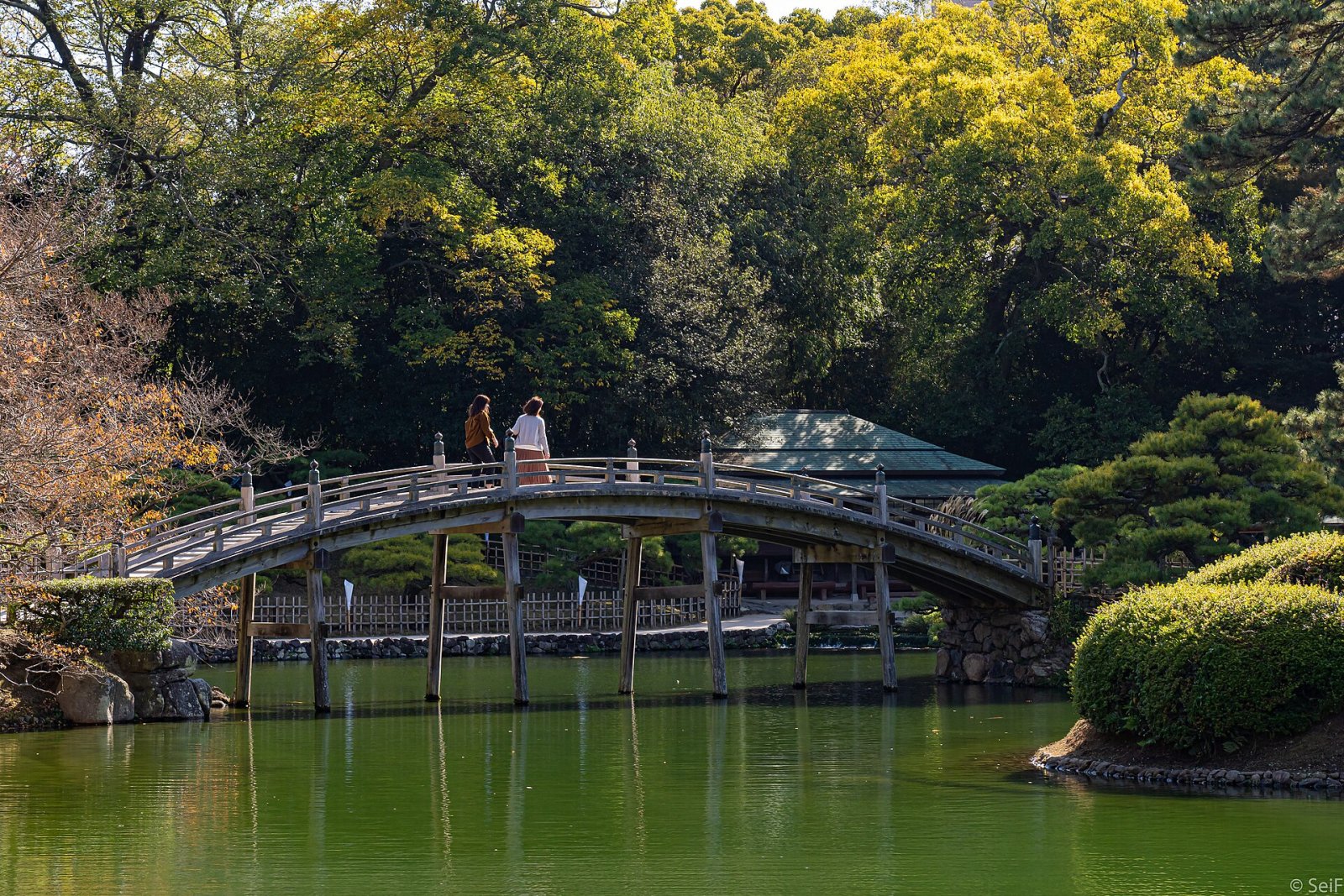 Ritsurin Garden: Un Paradiso Naturale a Takamatsu - Takamatsu | Secret World Trip Planner