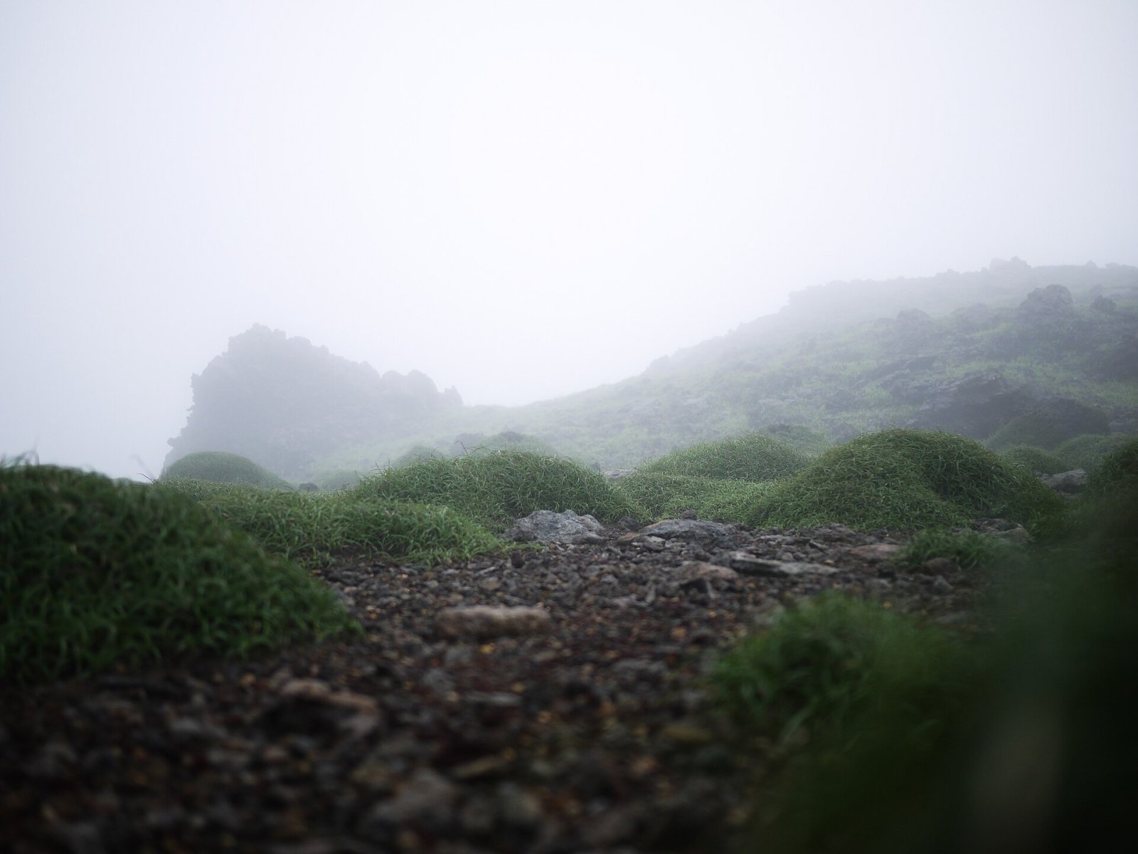 Discover Mount Aso: A Journey Through Nature and Volcanoes in Japan - Takamori | Secret World Trip Planner