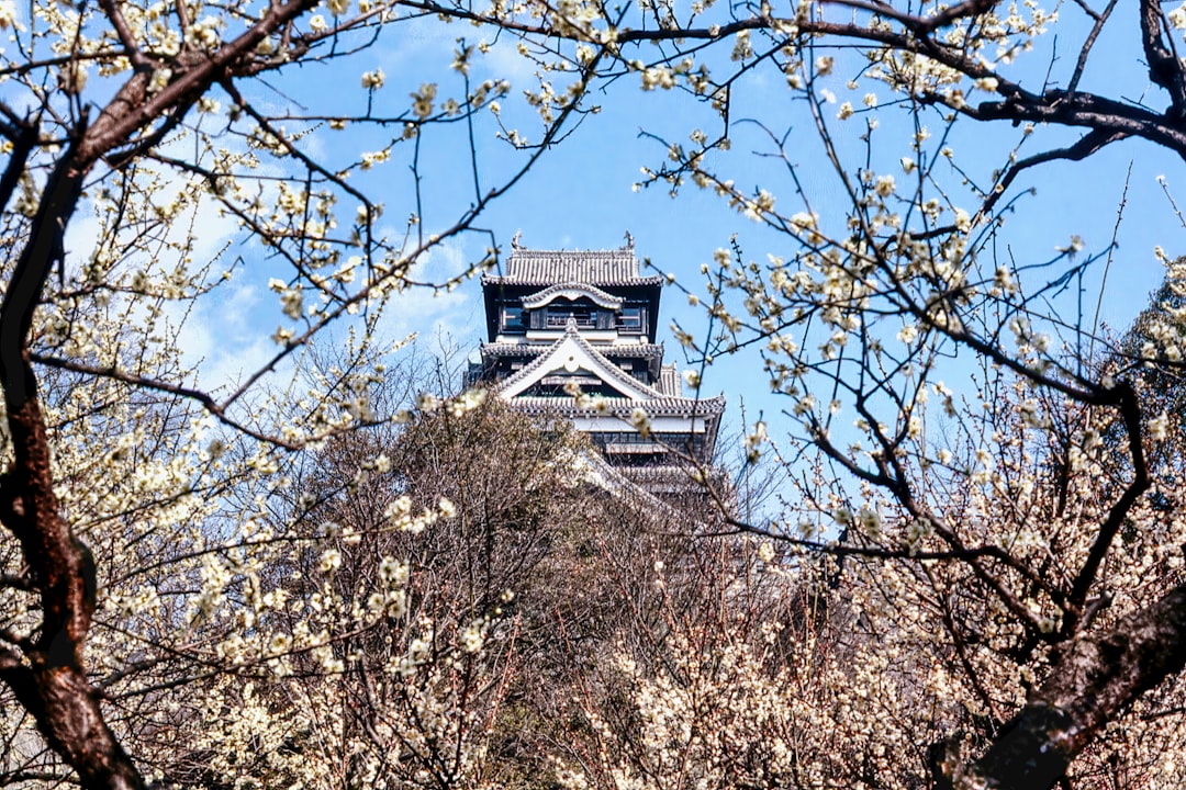 Erkundung des Kumamoto-Schlosses: Geschichte und Schönheiten - Kumamoto | Secret World Trip Planner