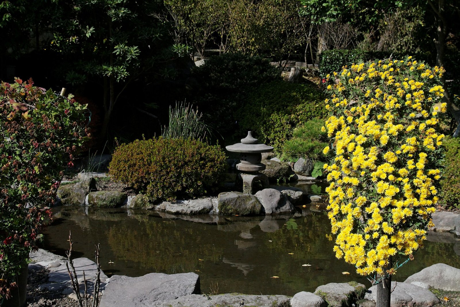 Entdecken Sie den Sengan-en Garten in Kagoshima: ein Paradies - Kagoshima | Secret World Trip Planner