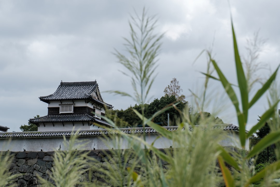 Esplorando Fukuoka Castle: Storia e Bellezze di Kyushu - Fukuoka | Secret World Trip Planner