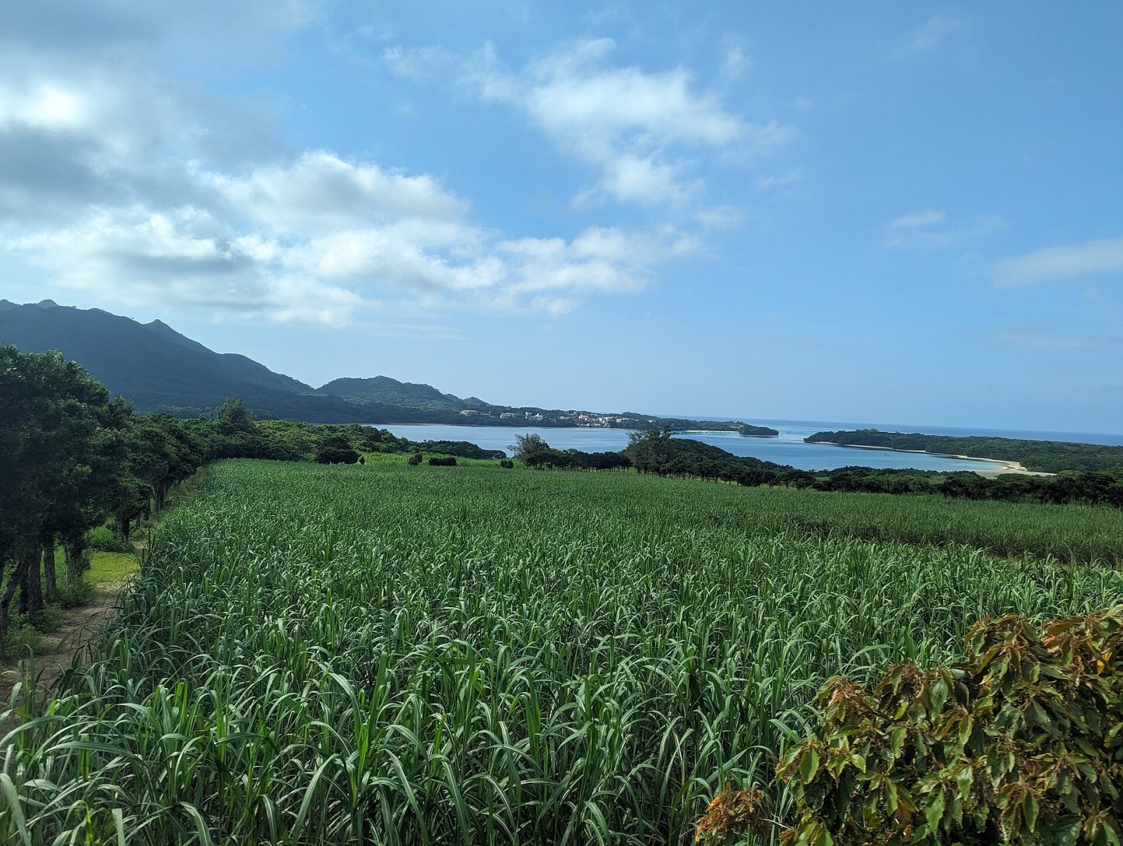 Ishigaki Island: ein Naturjuwel der japanischen Okinawa - Ishigaki | Secret World Trip Planner