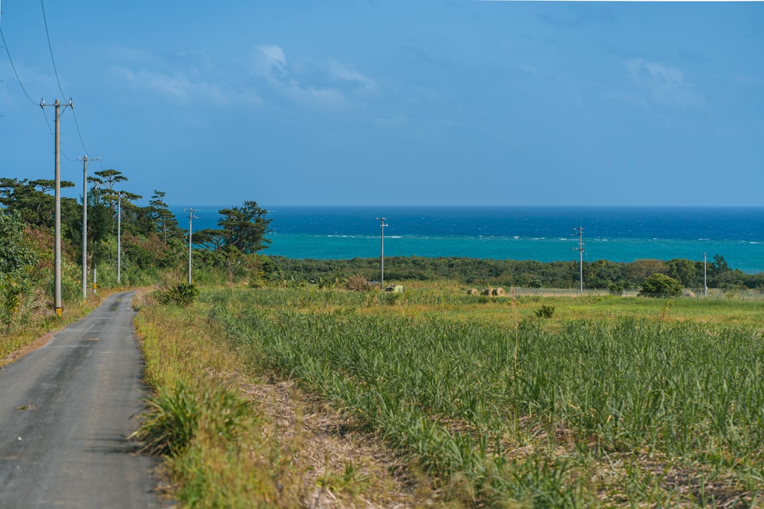 Discover Iriomote Island: A Paradise Corner in Okinawa - Taketomi | Secret World Trip Planner