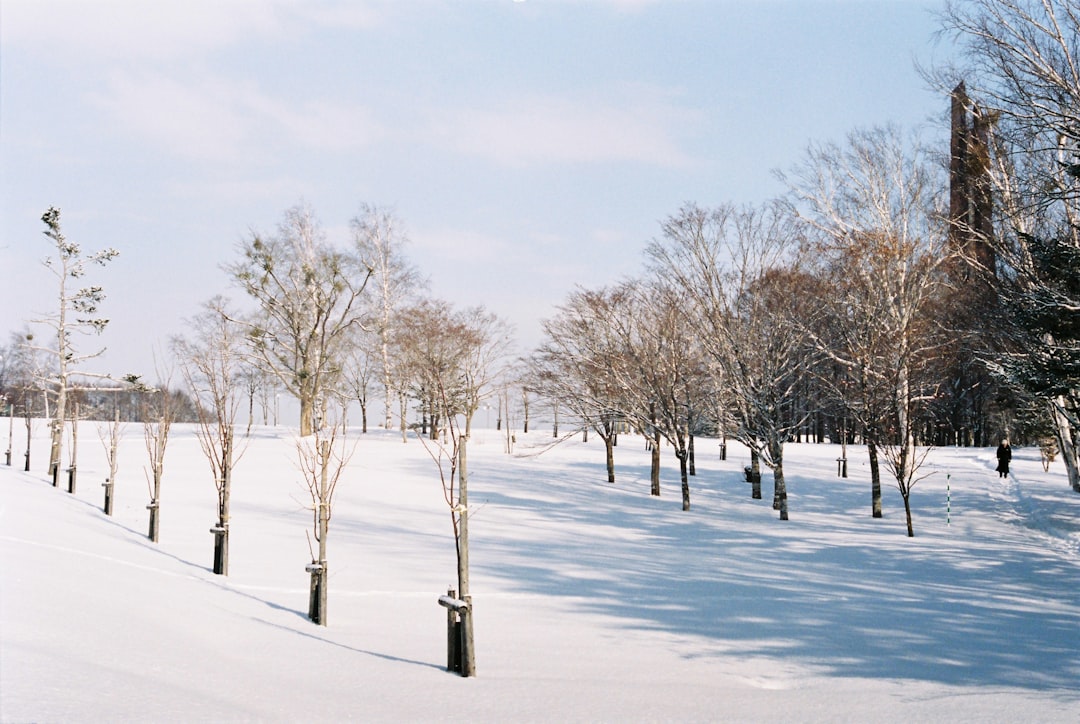 Odori Park Sapporo: A Nature Oasis in the Heart of Hokkaido — Sapporo