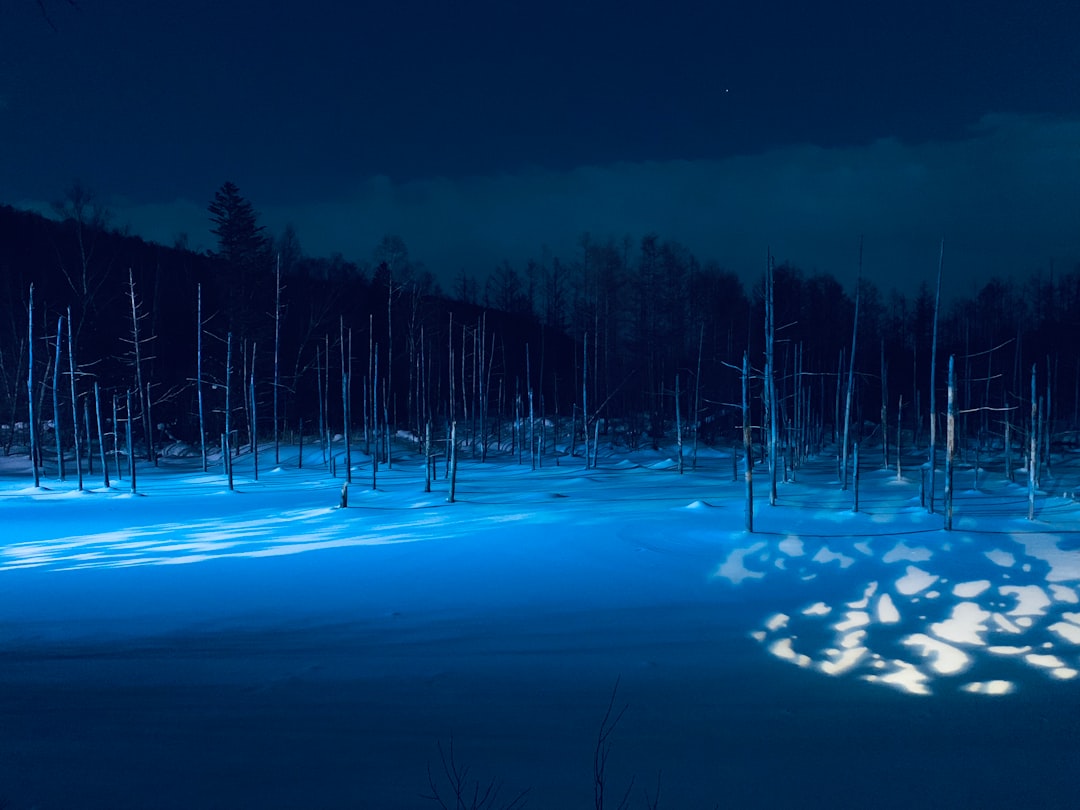Entdecken Sie den Blue Pond von Biei: ein Paradies in Japan - Biei | Secret World Trip Planner