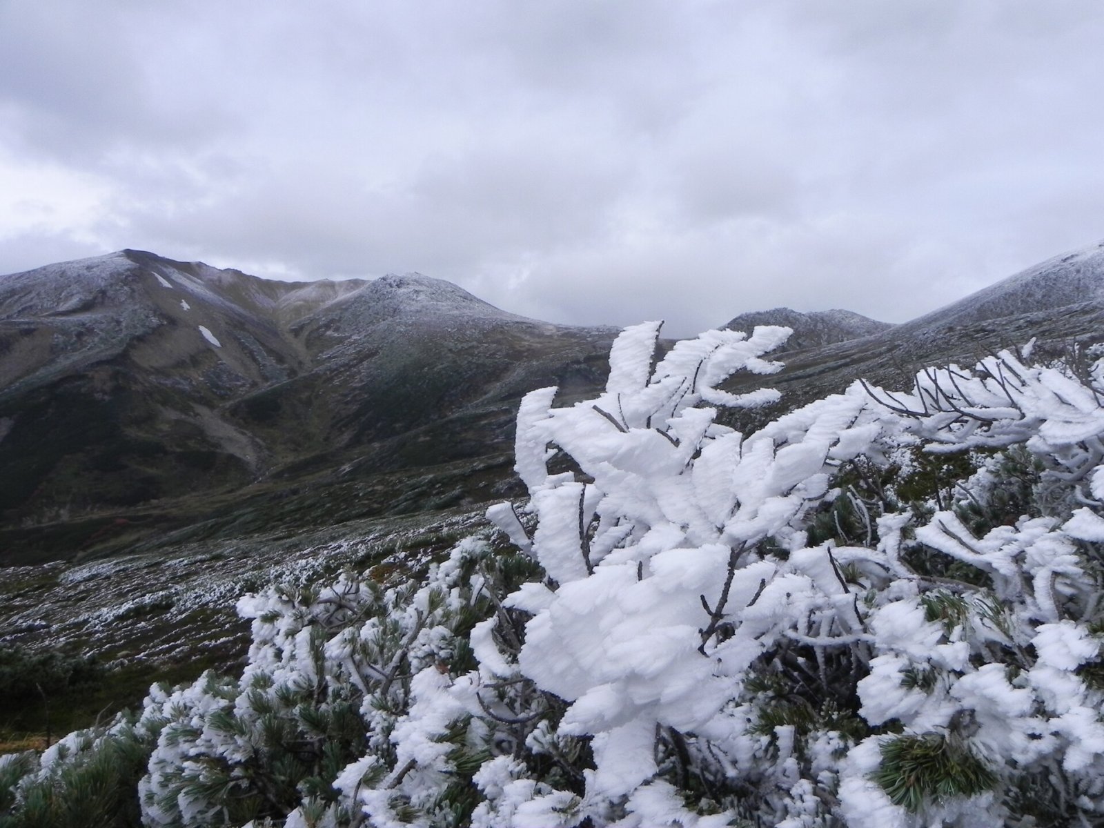 Discover the Beauty of Daisetsuzan National Park in Hokkaido - Higashikawa | Secret World Trip Planner