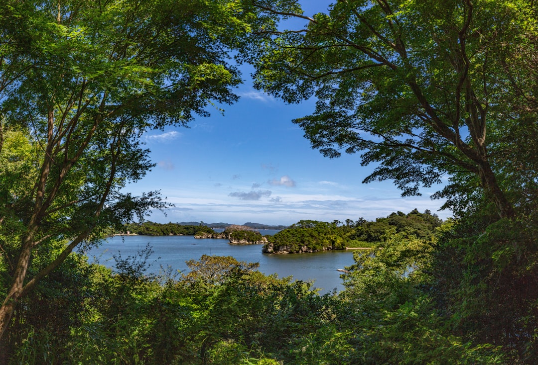 Matsushima Bay: A Natural Paradise in the Heart of Japan — Matsushima