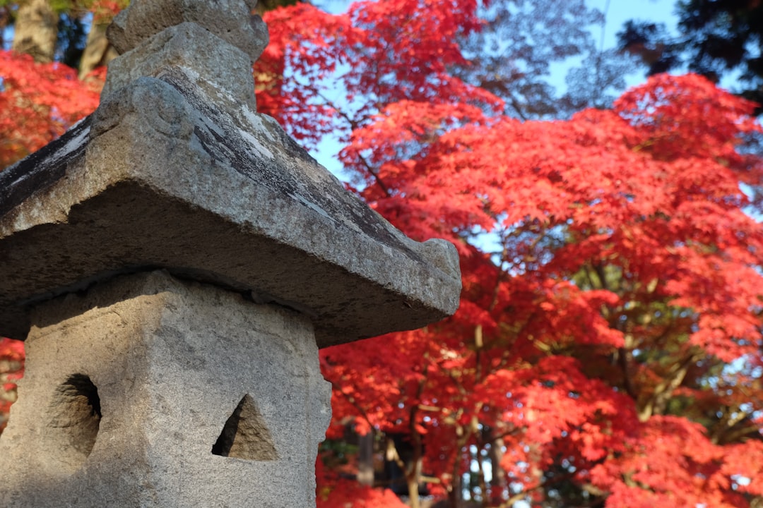 Discovering Hiraizumi Chusonji: A Historical Treasure in Tohoku - Hiraizumi | Secret World Trip Planner