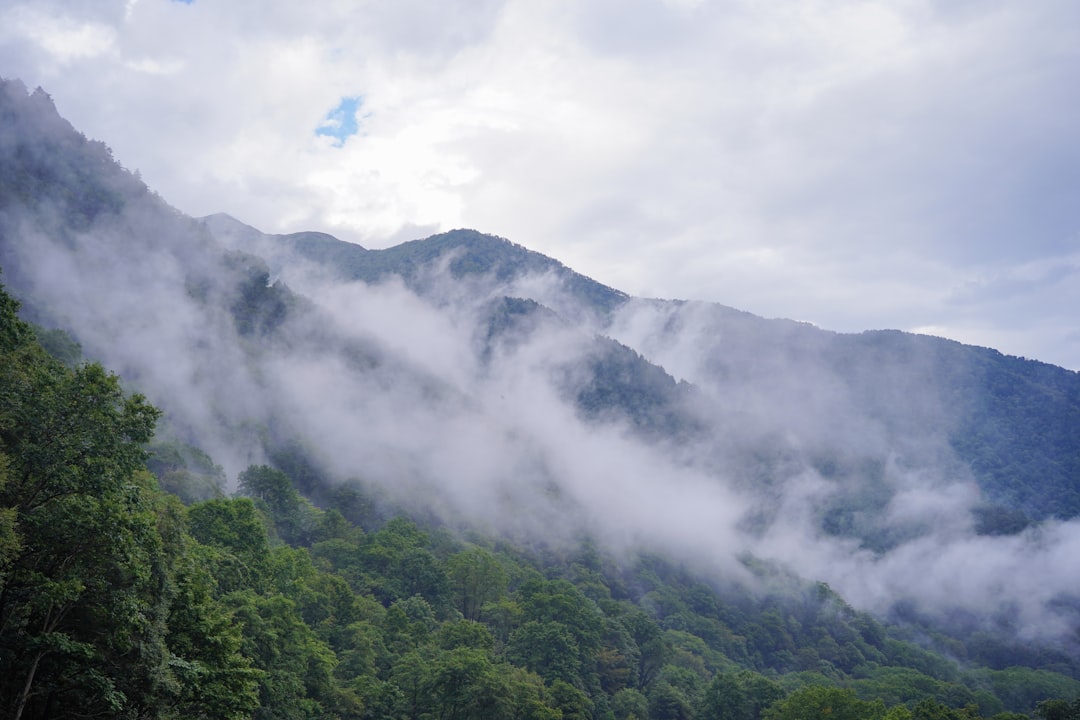 Discover the Magic of the Tateyama Kurobe Alpine Route in Japan - Tateyama | Secret World Trip Planner