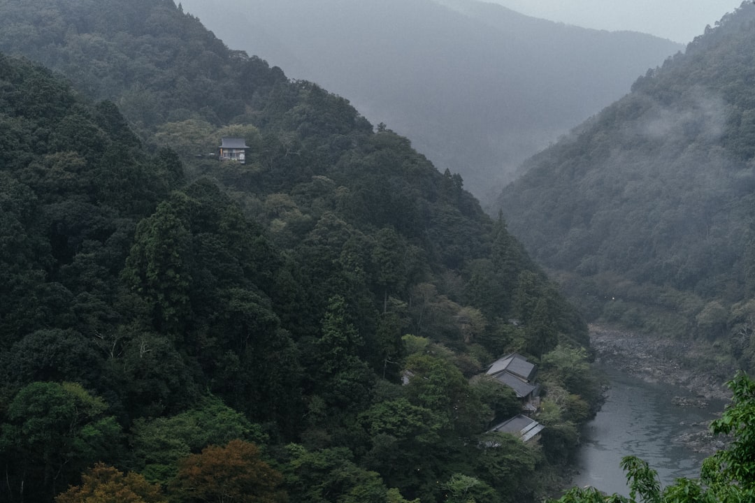 Ena Gorge: A Corner of Untouched Nature in Japan — Ena
