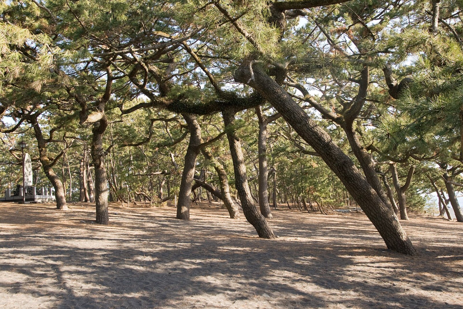 Entdecken Sie Shizuoka Miho no Matsubara: Ein Paradies in Japan - Shizuoka | Secret World Trip Planner